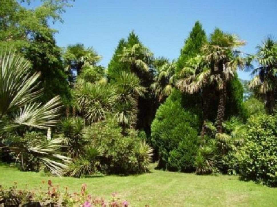 De la verdure à perte de vue à Tarasteix